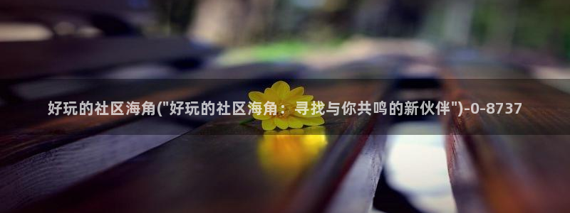 海角社区hj9c7：好玩的社区海角(\