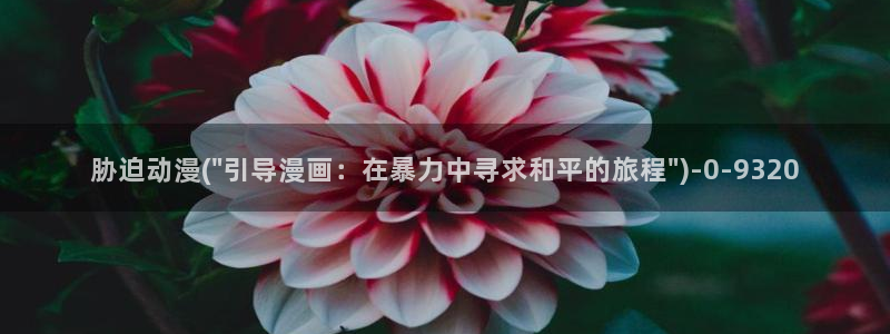 动漫人物图片大全